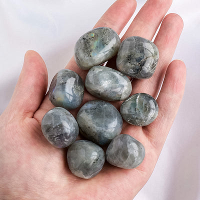 Olivenorma Labradorite Polished Natural Stone