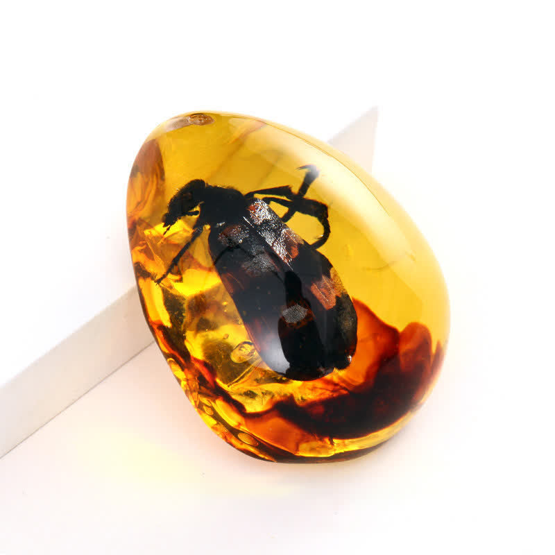 Olivenorma Water Drop Amber Insect Specimen Pendant