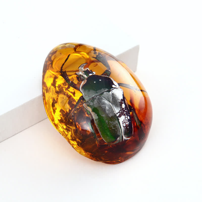 Olivenorma Water Drop Amber Insect Specimen Pendant