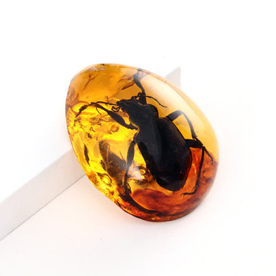 Olivenorma Water Drop Amber Insect Specimen Pendant