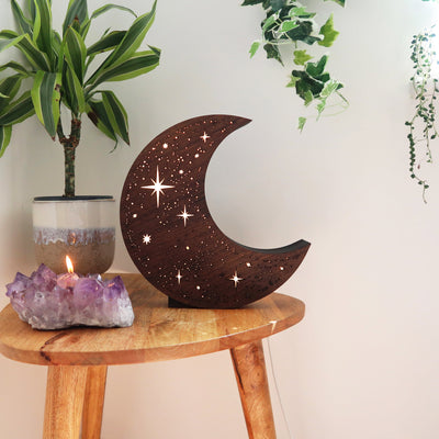 Olivenorma Starry Botanical Moon Lamp - Starry Moon Lamp - image 0