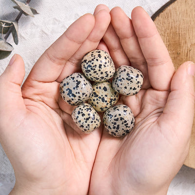 Olivenorma Natural Dalmatian Jasper Tumbled Healing Stone