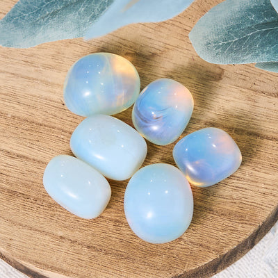 Olivenorma Polished Opal Gem Tumbled Stone Set