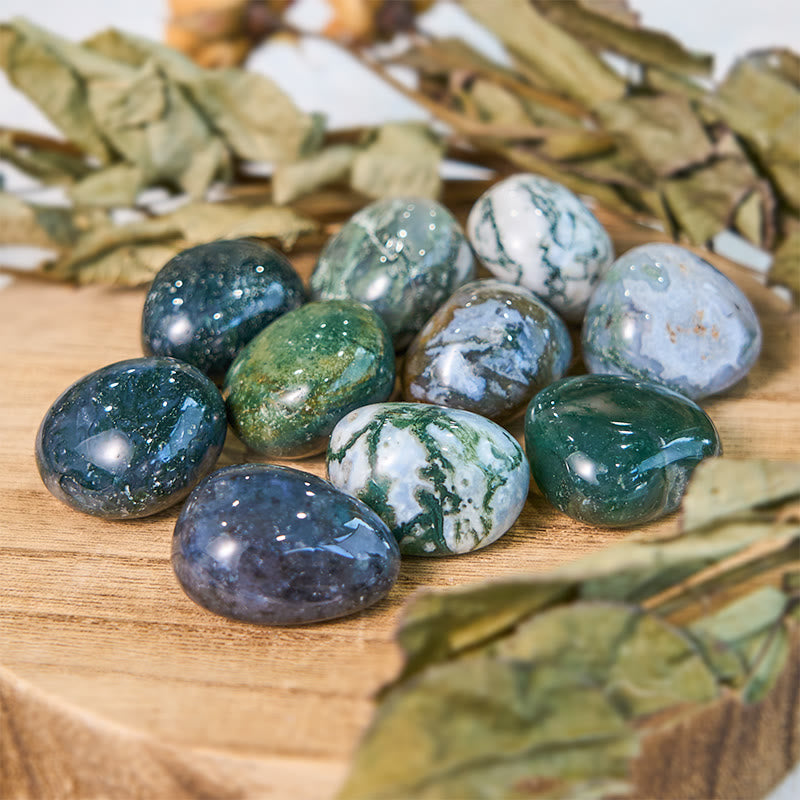 Olivenorma Real Natural Moss Agate Healing Tumbled Stone