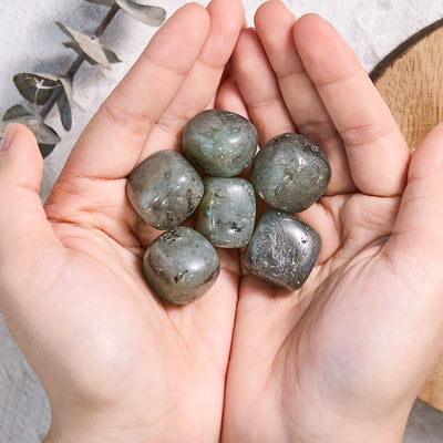 Olivenorma Natural Polished Labradorite Tumbled Stone