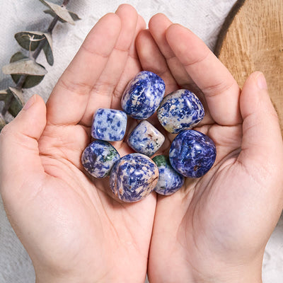 Olivenorma Natural Blue Spot Jasper Tumbled Stone Set