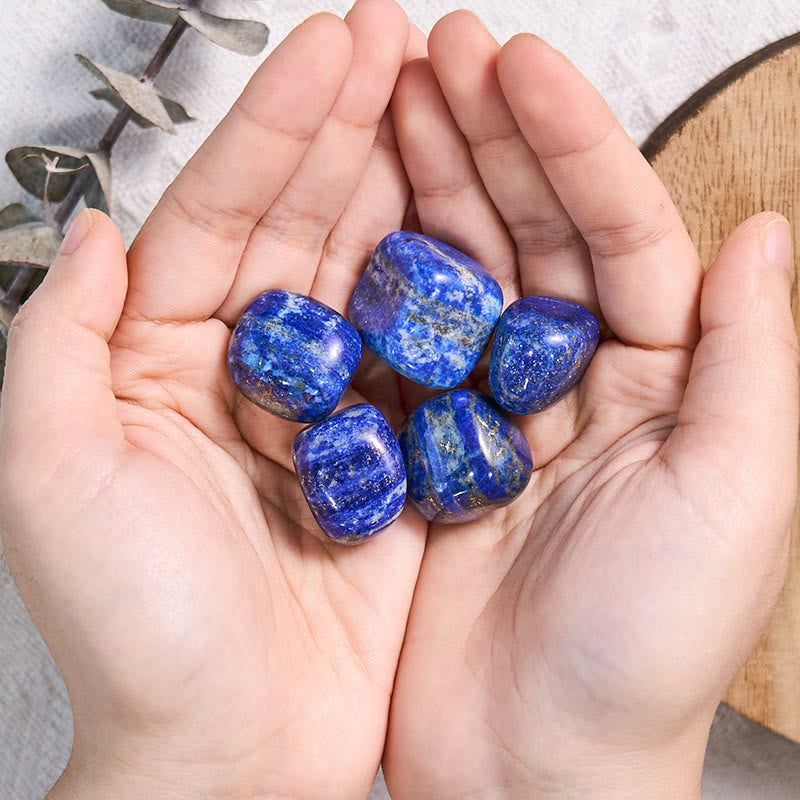 Olivenorma Polished Lapis Lazuli Natural Tumbled Stone Set