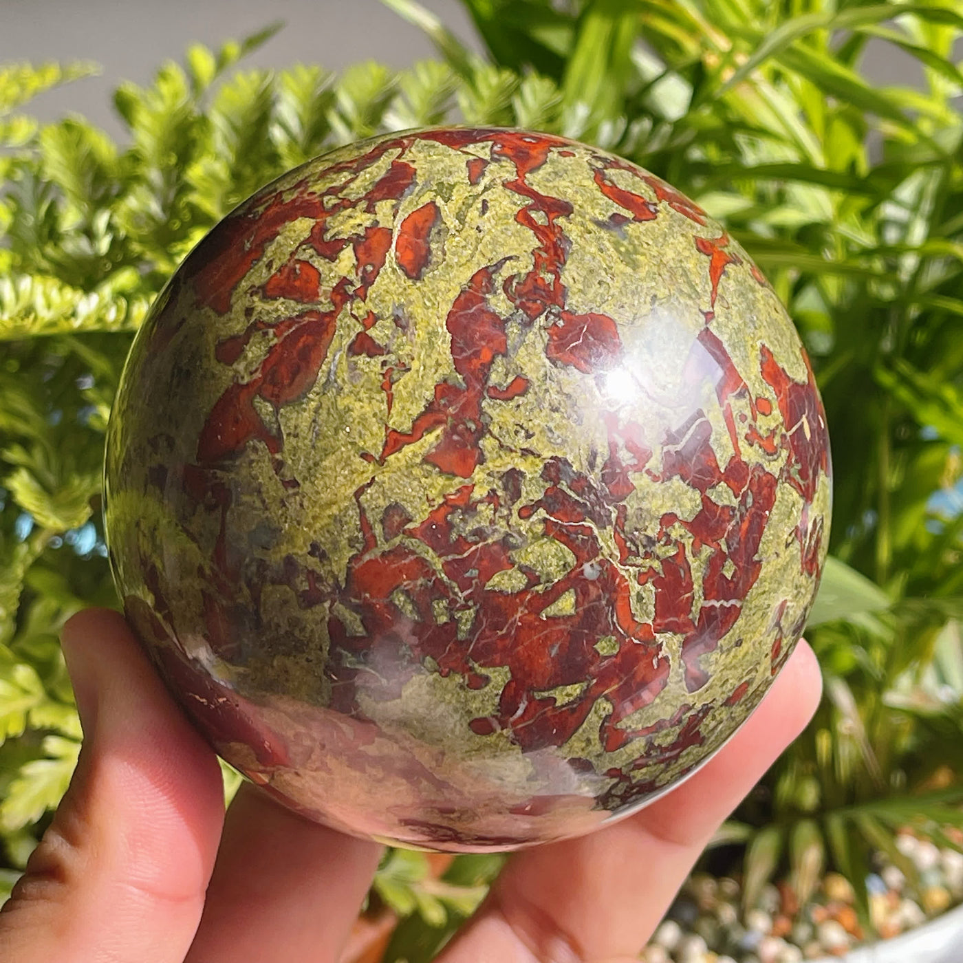 Olivenorma Natural Dragon Blood Stone Crystal Sphere