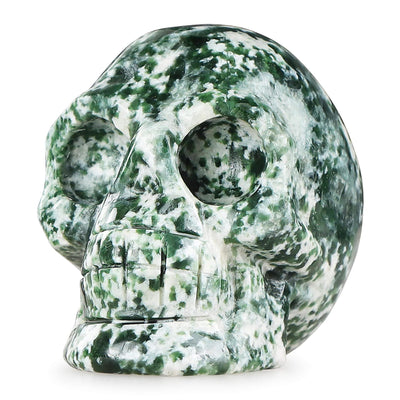 Olivenorma Natural Clear Crystal Gemstone Decoration Crystal Skull