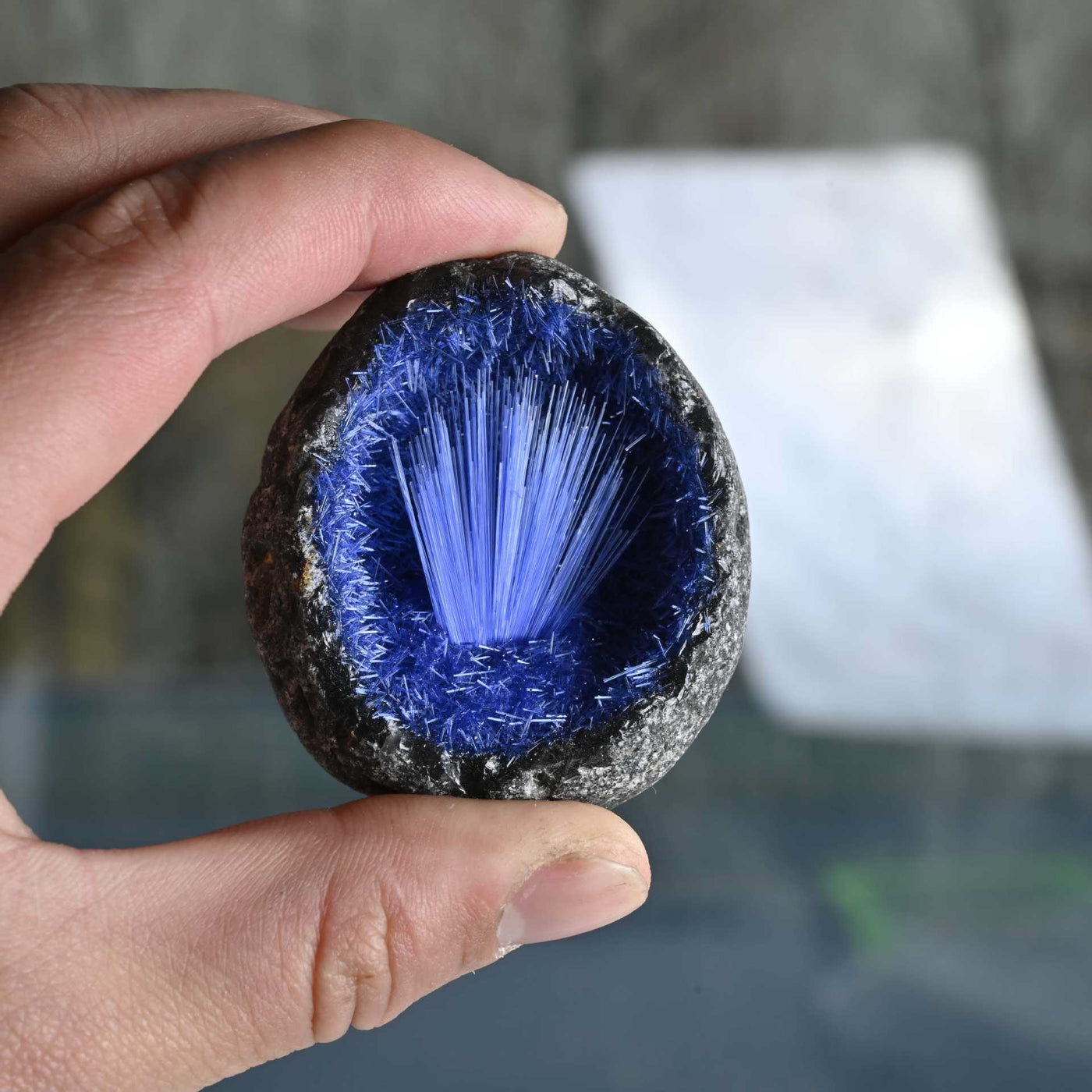 Olivenorma Blue Hair Ore Cluster Needle Egg Gemstone Decoration