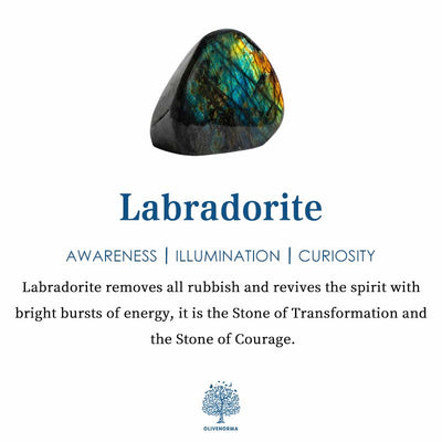 Olivenorma Labradorite Water Drop Pendant Necklace