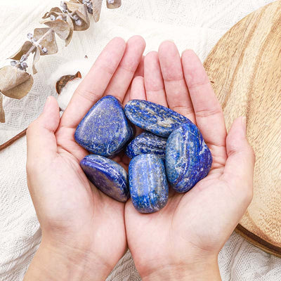 Olivenorma Lapis Lazuli Natural Tumbled Stone Set