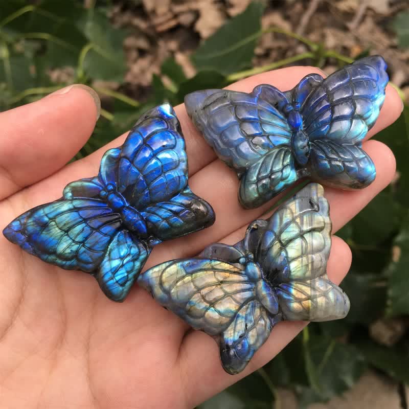 Magic Butterfly Labradorite Gemstone Decoration