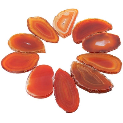 Olivenorma Natural Sliced Agate Gemstone Decoration