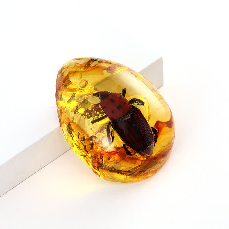 Olivenorma Water Drop Amber Insect Specimen Pendant