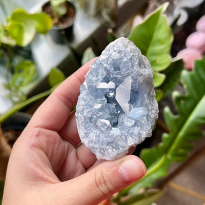 Olivenorma Natural Kyanite Geode Healing Gemstone Decoration