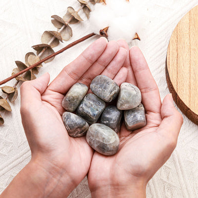 Olivenorma Labradorite Natural Tumbled Stone Set