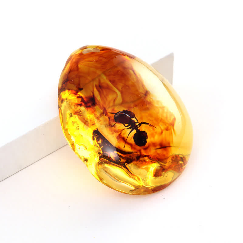 Olivenorma Water Drop Amber Insect Specimen Pendant