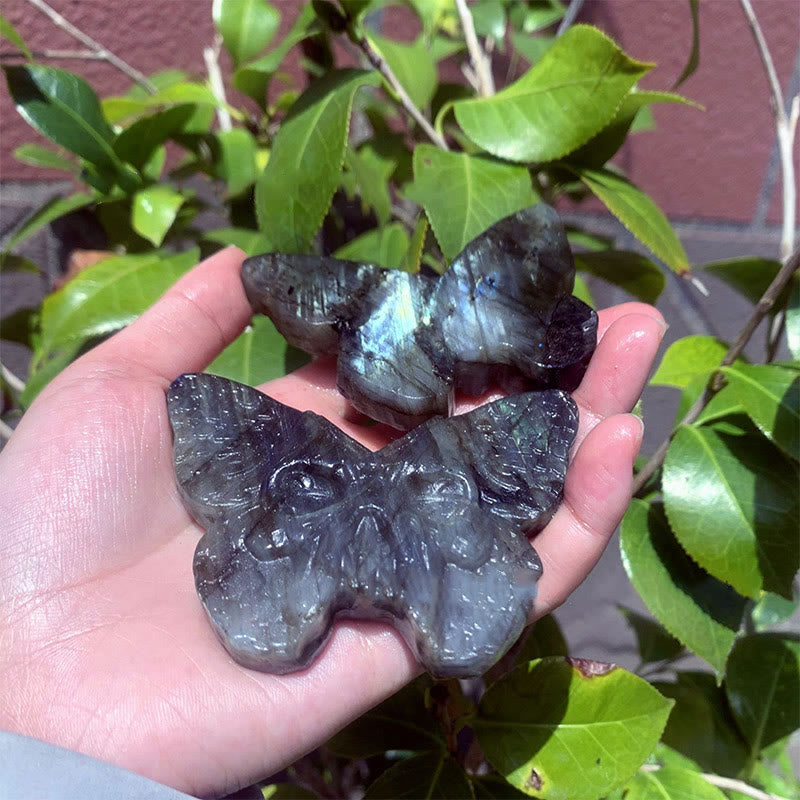 Olivenorma Natural Labradorite Butterfly Skull Gemstone Decoration