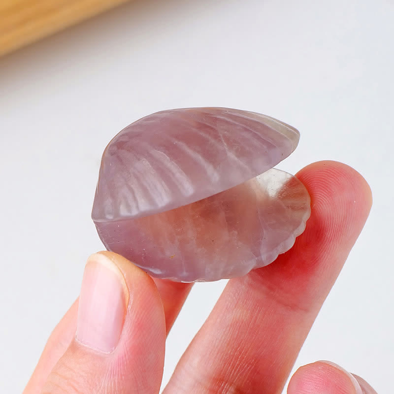 Olivenorma Natural Crystal Agate Carved Shells Gemstone Decoration