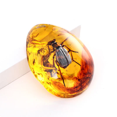 Olivenorma Water Drop Amber Insect Specimen Pendant