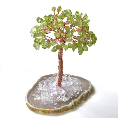 Olivenorma Peridot Natural Gemstone Feng Shui Tree with Agate Base