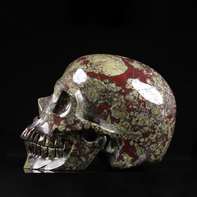 Olivenorma Dragon Blood Stone Jasper Skull Decoration