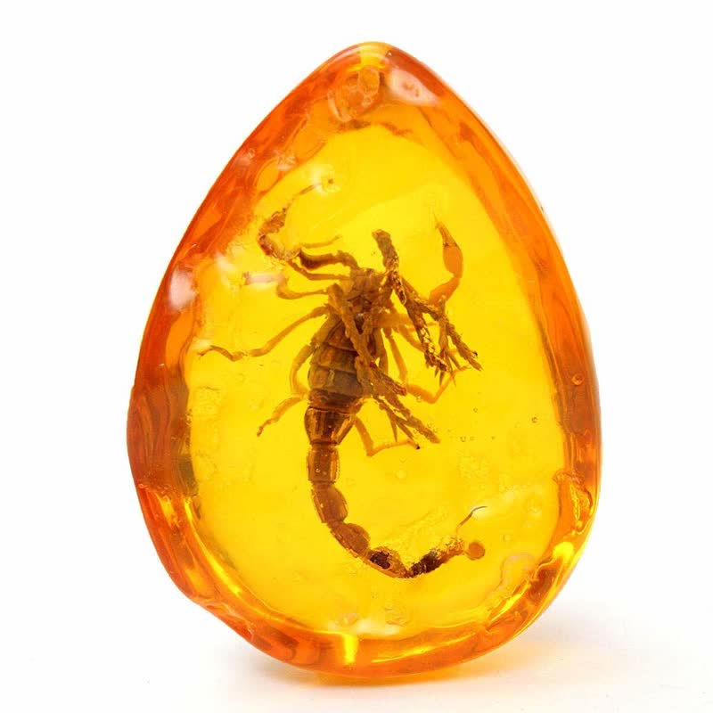 Insect Stone Scorpions Inclusion Amber Baltic Pendant