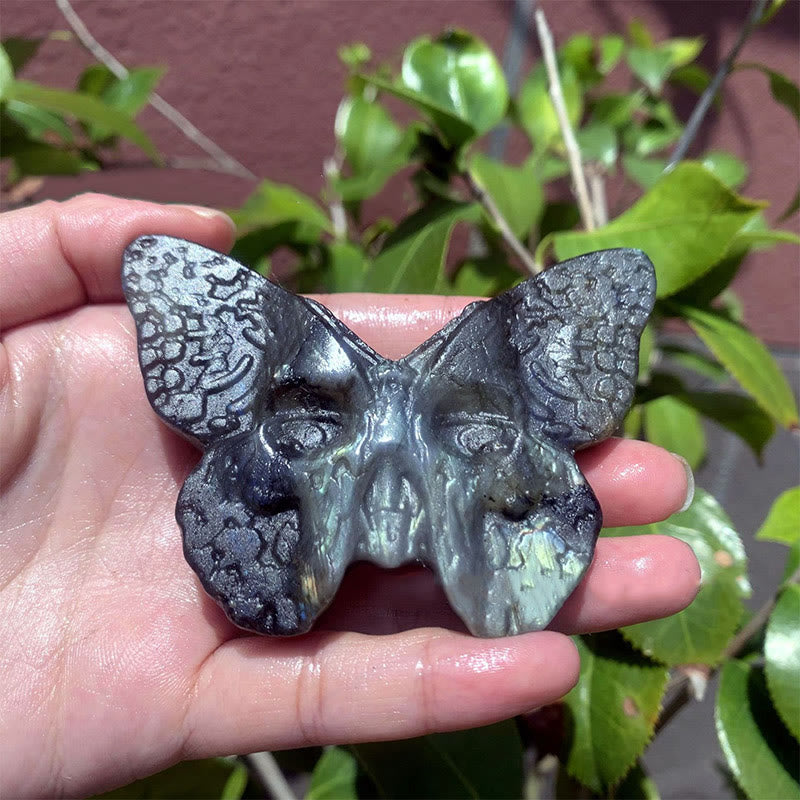 Olivenorma Natural Labradorite Butterfly Skull Gemstone Decoration