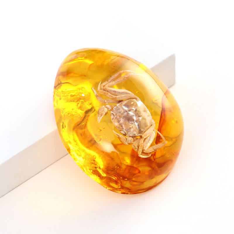 Olivenorma Water Drop Amber Insect Specimen Pendant