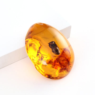 Olivenorma Water Drop Amber Insect Specimen Pendant