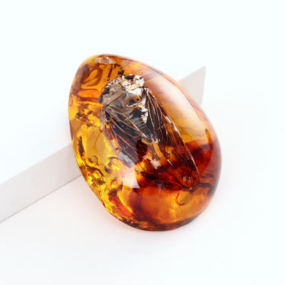 Olivenorma Water Drop Amber Insect Specimen Pendant