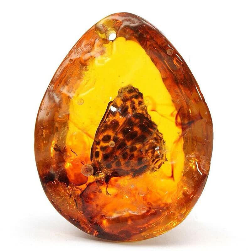 Olivenorma Water Drop Amber Insect Specimen Pendant