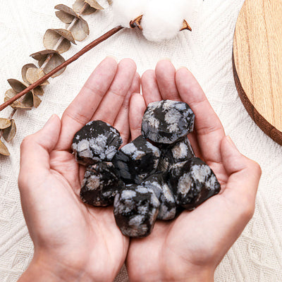 Snowflake Obsidian Natural Tumbled Stone Set