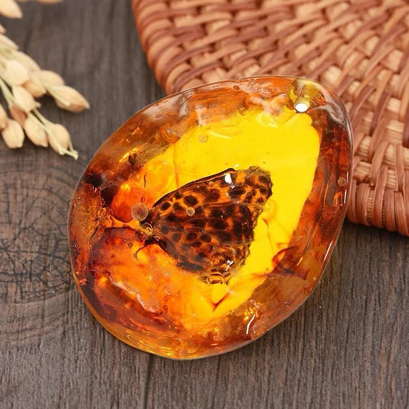 Olivenorma Water Drop Amber Insect Specimen Pendant