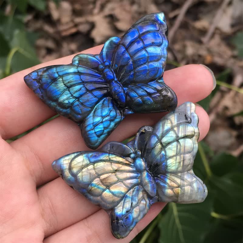 Magic Butterfly Labradorite Gemstone Decoration