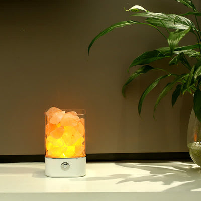 Olivenorma Natural Himalayan Pink Salt Atmosphere Lamp