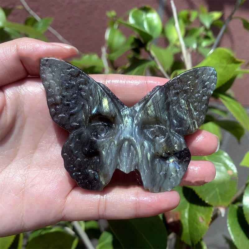 Olivenorma Natural Labradorite Butterfly Skull Gemstone Decoration