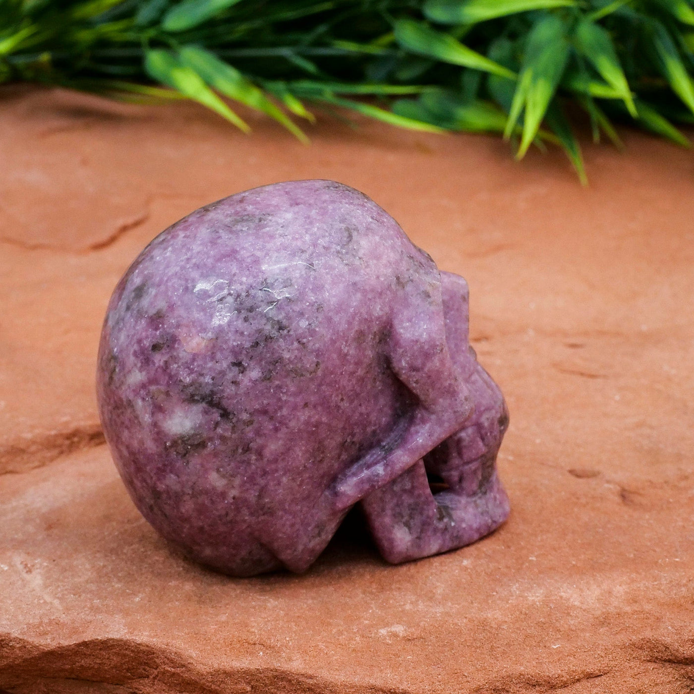 Olivenorma Lepidolite Crystal Skull Decoration