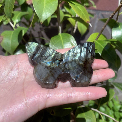 Olivenorma Natural Labradorite Butterfly Skull Gemstone Decoration