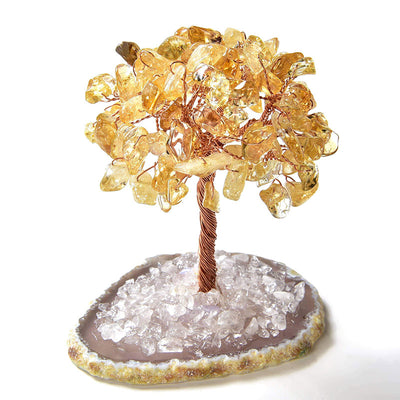 Olivenorma Citrine Natural Gemstone Feng Shui Tree with Agate Base